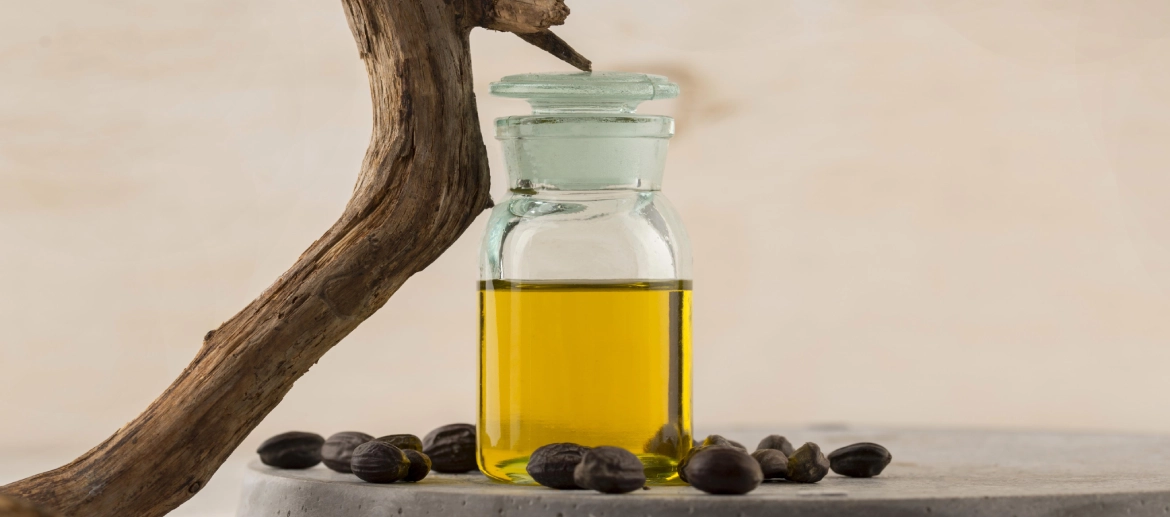 Olive Pomace Oil Olive Pomace Oil